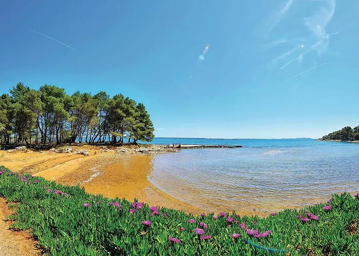 Apartman Luxurious In With House Sea View